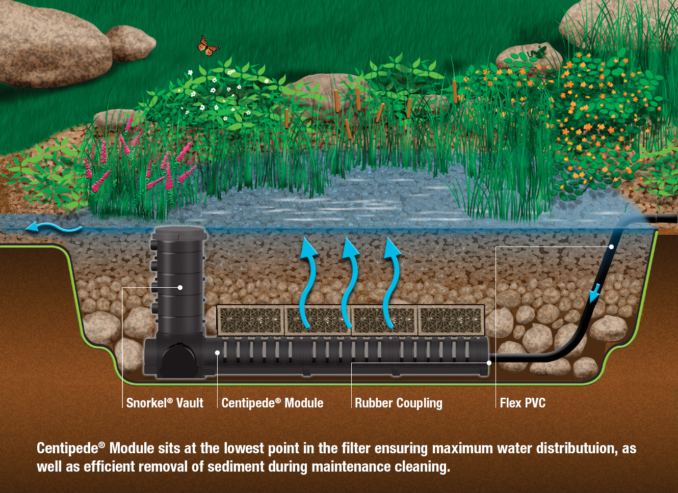 Aquascape Wetland Filters